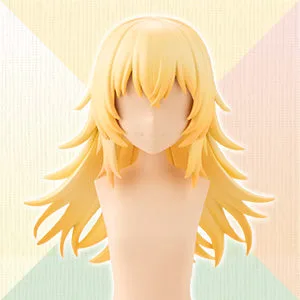 ARRANGED WIGS WOLF LAYER CUT