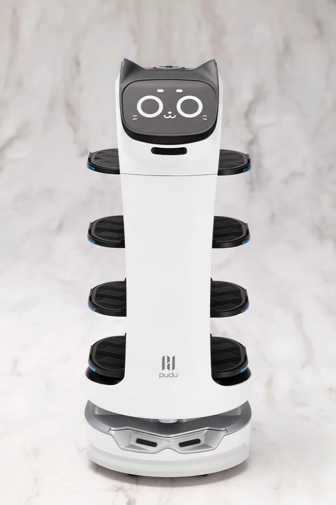 GRANDE SCALE BellaBot